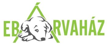 EbArvahaz1-1