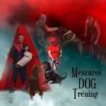 meszaros_dog_training